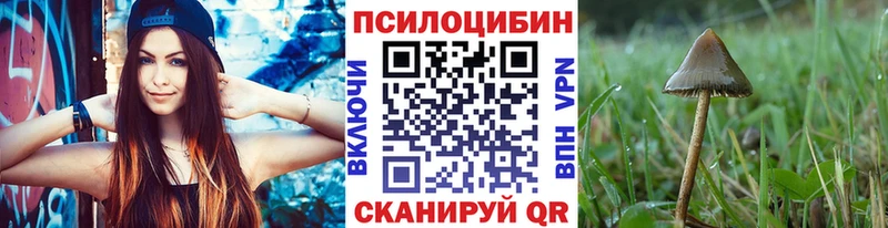 купить наркотик Дегтярск сайты даркнета Telegram Галлюциногенные грибы Magic Shrooms